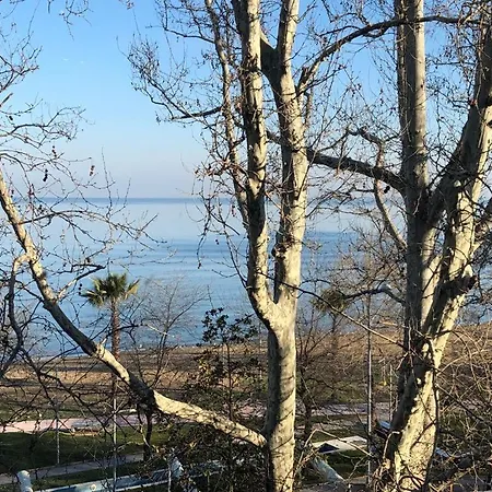 Yalova_merkez